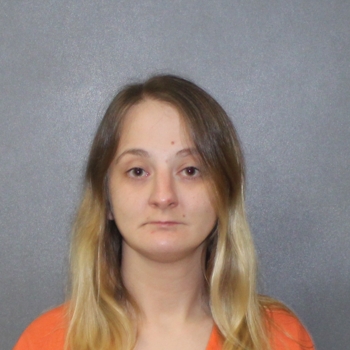 Mugshot of Patricia Ann Colantonio