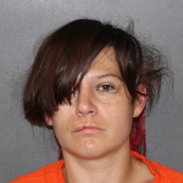 Mugshot of Jackie Lynn Fox