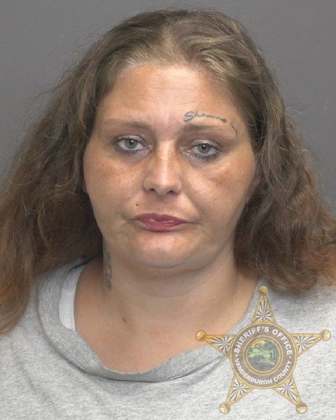 Mugshot of APRIL DAWN YOUNG