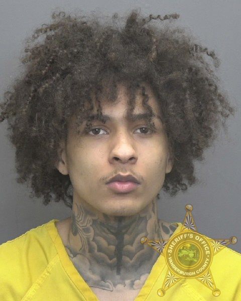 Mugshot of PIERCE DEMARSHAY BUTLER