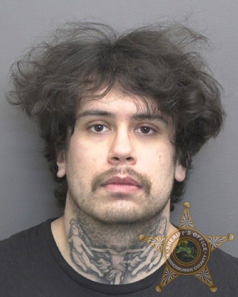 Mugshot of GABRIEL ERNESTO MOLINA