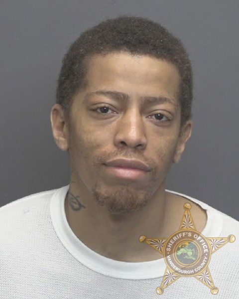 Mugshot of MARCUS TCHANAVIAN HALL