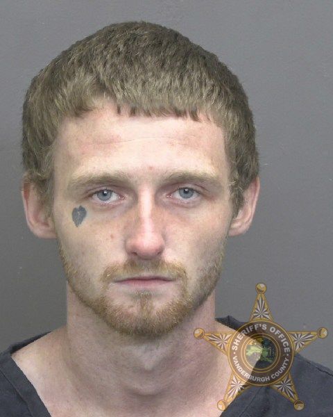 Mugshot of MATTHEW LEROY LYON JR