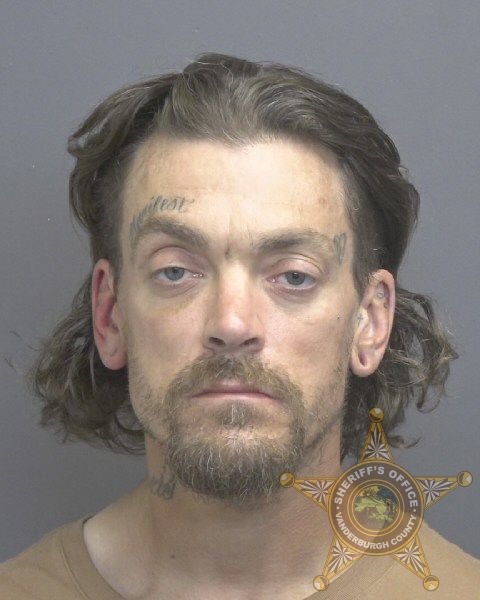 Mugshot of MICHAEL CURTIS MILLS