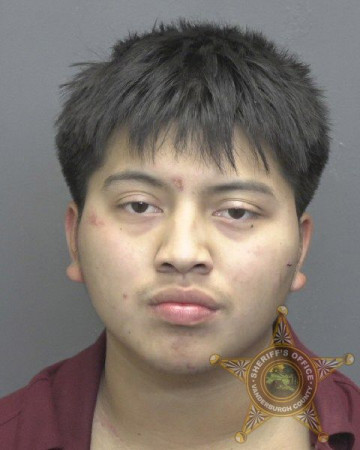 Mugshot of EDWIN EMANUEL DE LEON