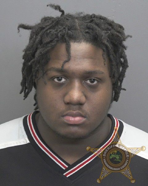 Mugshot of MIKEL DEVUN GREEN