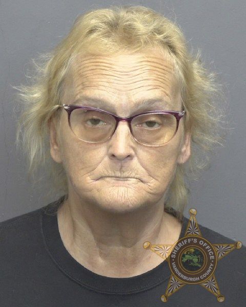 Mugshot of CYNTHIA ANN DAVIS