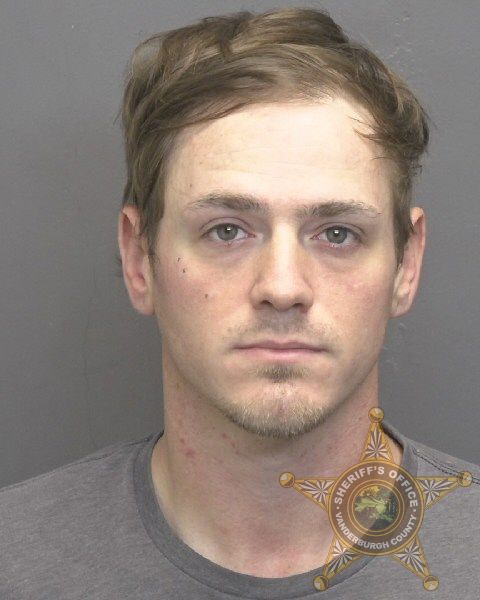 Mugshot of DYLAN MICHEAL WERNER
