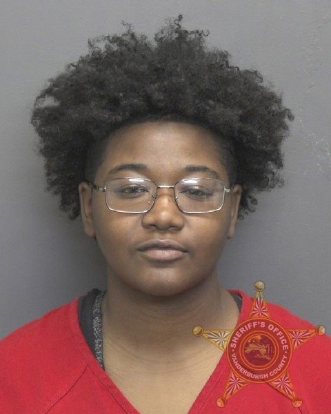 Mugshot of SAVANNA RENEE COMPTON