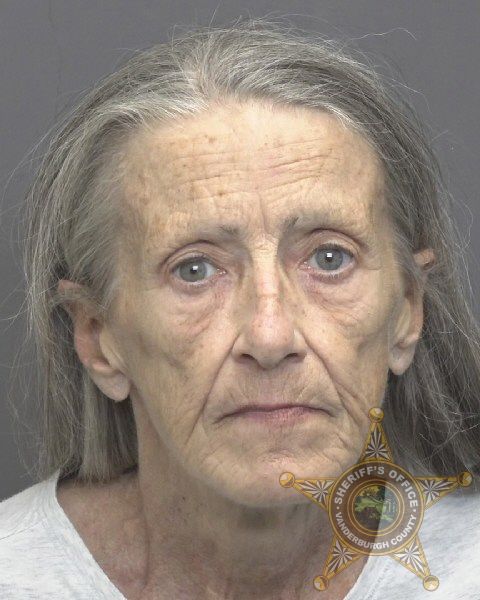 Mugshot of ELLEN ANNETTE HAMILTON