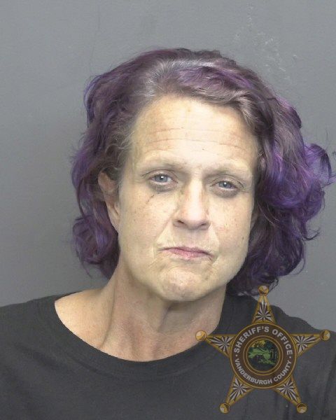 Mugshot of ELIZABETH LANE JOHNS