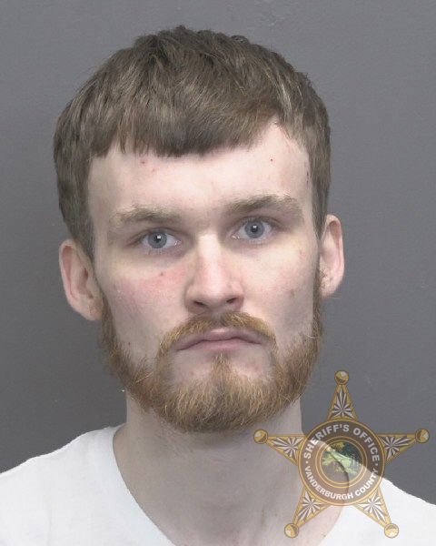 Mugshot of DEVAN MICHAEL LOWE