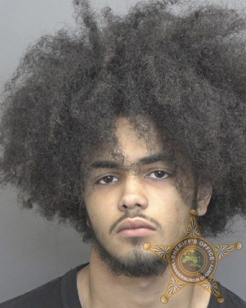 Mugshot of TREVIN JERMAINE DARRETT