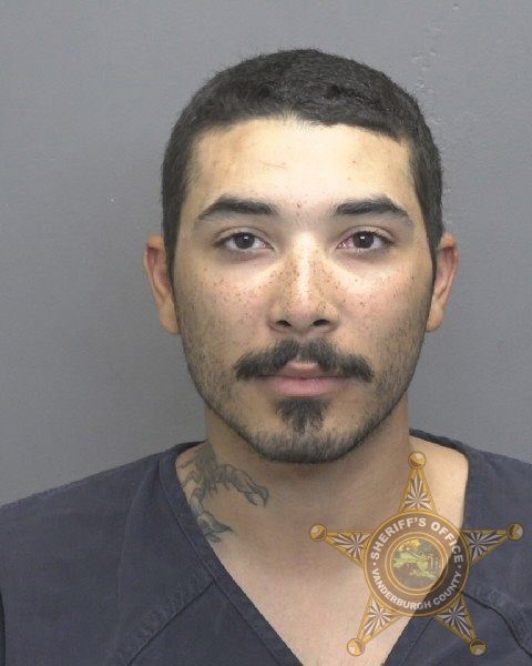 Mugshot of BRYNAN LEVI HOPKINS