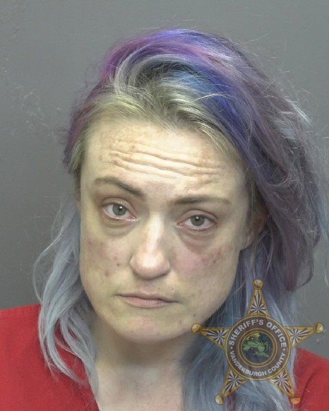 Mugshot of DENISE LOUISE SEITZ