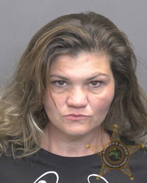 Mugshot of BRITTANY NICOLE FRYE
