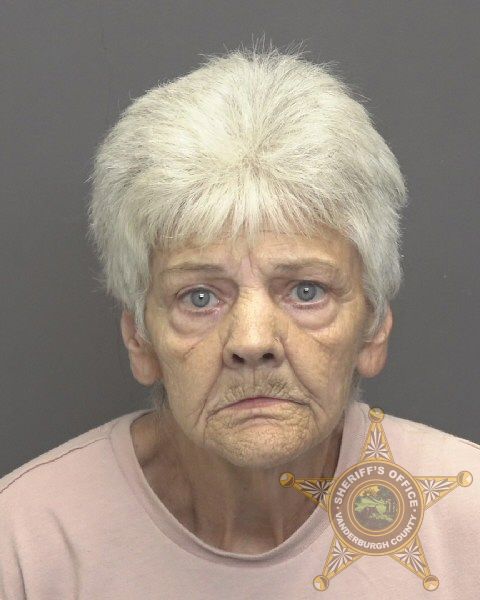 Mugshot of DEBRA CAROL MERRILL