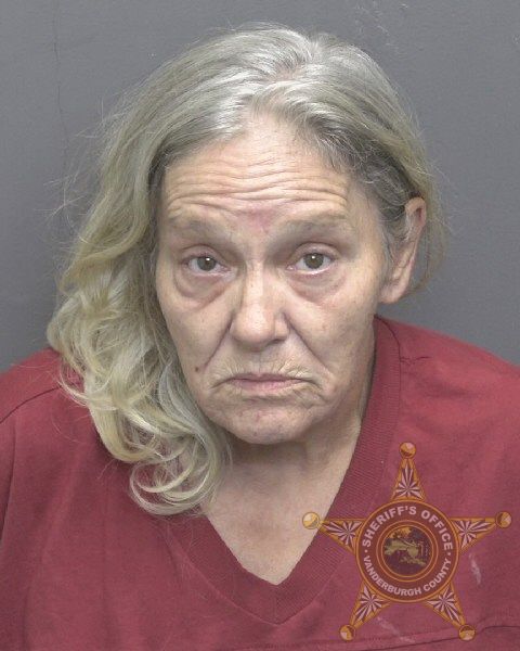 Mugshot of DEBRA LYNN BITTNER