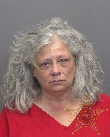 Mugshot of JULIA LYNN HOLTZ