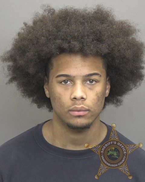 Mugshot of ROBERT ANDRE MICHAEL L OWENS JR
