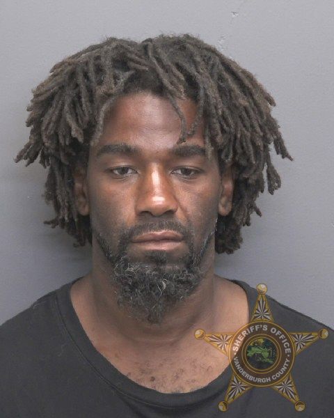 Mugshot of BRANDON LEE STEVENSON