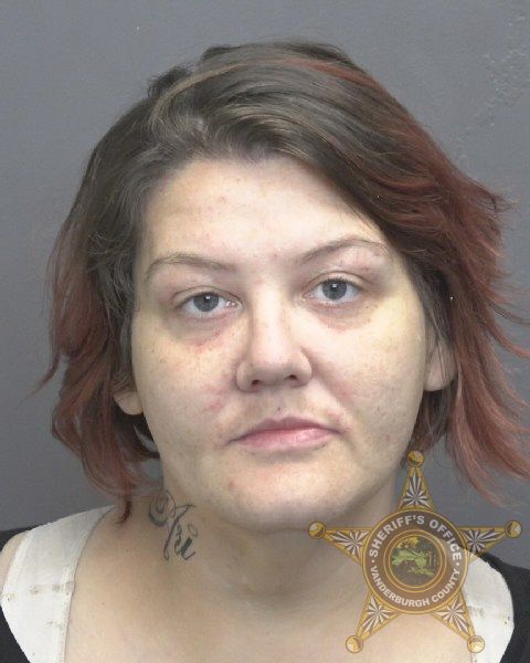 Mugshot of BRITTANI NIKOLE MEREDITH