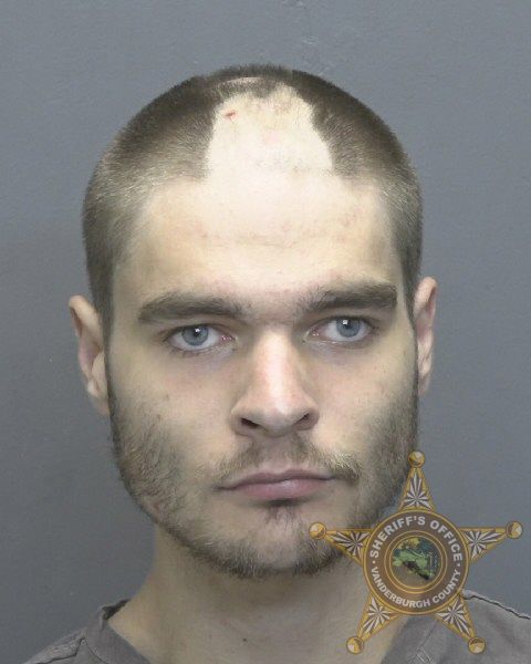Mugshot of NOVA DAVID COLLINS