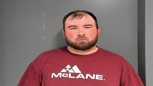 Mugshot of RODNEY LEE MULLINS