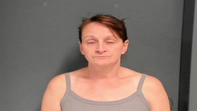 Mugshot of VANESSA WILLIAMS