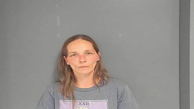 Mugshot of CHRISTINE ANN HARVEY