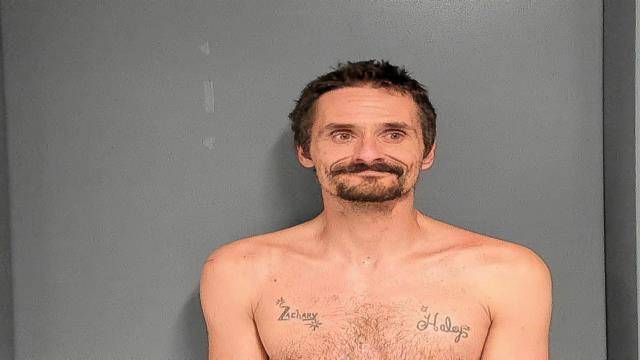 Mugshot of LESTER W ROMANYK