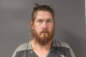 Mugshot of DAVID L NELSON