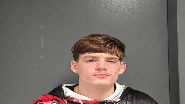 Mugshot of TEDDY LARRY OGLE