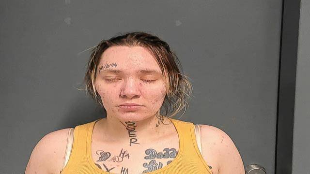 Mugshot of CHEYENNE BURDETTE