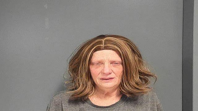 Mugshot of ANDREA J HOLT