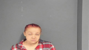 Mugshot of HEATHER LEE BAYS