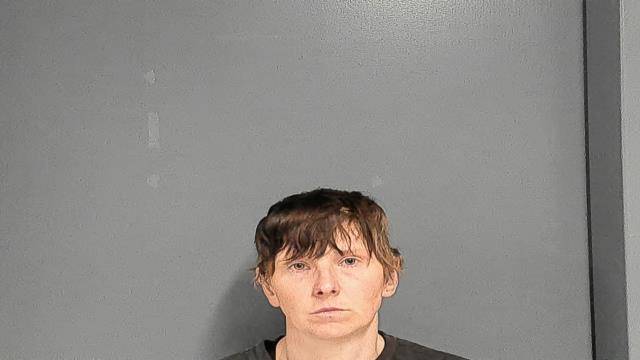 Mugshot of ERIN ELIZABETH WILKEY