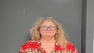 Mugshot of CHRISTINA LYNN WALLACE