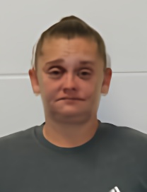Mugshot of ANDREA NICHOLE BOWMAN