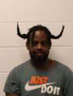 Mugshot of DAVID M FLAX