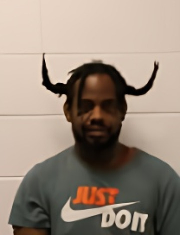 Mugshot of DAVID M FLAX
