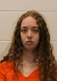 Mugshot of BRANDI MICHELLE DANT