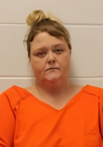 Mugshot of WHITNEY JO ELLIS