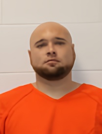 Mugshot of ELVIS Lee ROACH