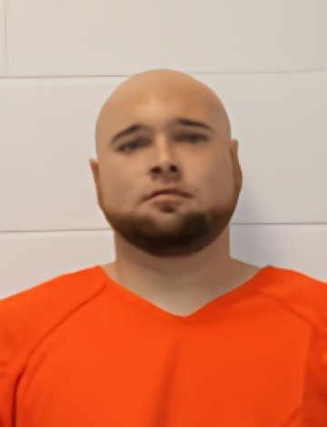 Mugshot of ELVIS LEE ROACH