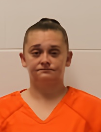 Mugshot of ANDREA NICHOLE BOWMAN