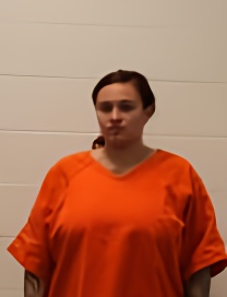 Mugshot of MORGAN NICOLE WARREN