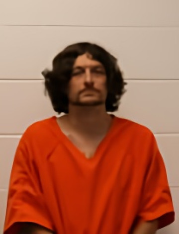 Mugshot of DAVID PAUL WHEELER