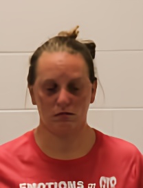 Mugshot of KASEY RENEE PURGERSON