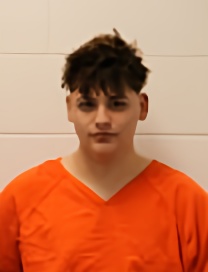 Mugshot of SANTIAGO F DORAZI